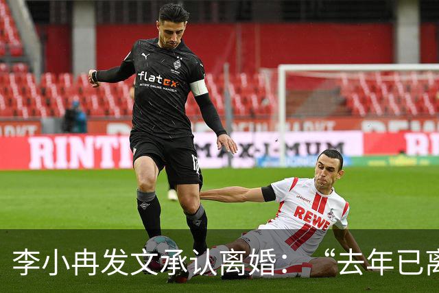 李小冉发文承认离婚：“去年已离互不牵扯，互不打扰，祝各自安好”